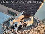 Capi_Dubne_20150717_055003.jpg