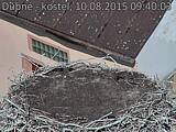 Capi_Dubne_20150810_094003.jpg