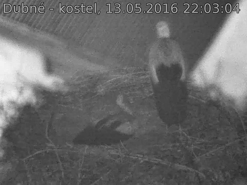 Capi_Dubne_20160513_220304.jpg (960 x 720)