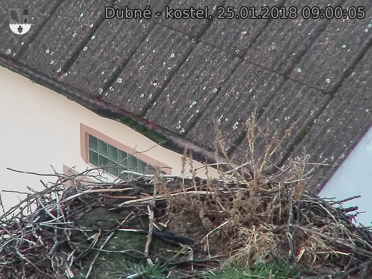 Capi_Dubne_20180125_090005.jpg (1440 x 1080)