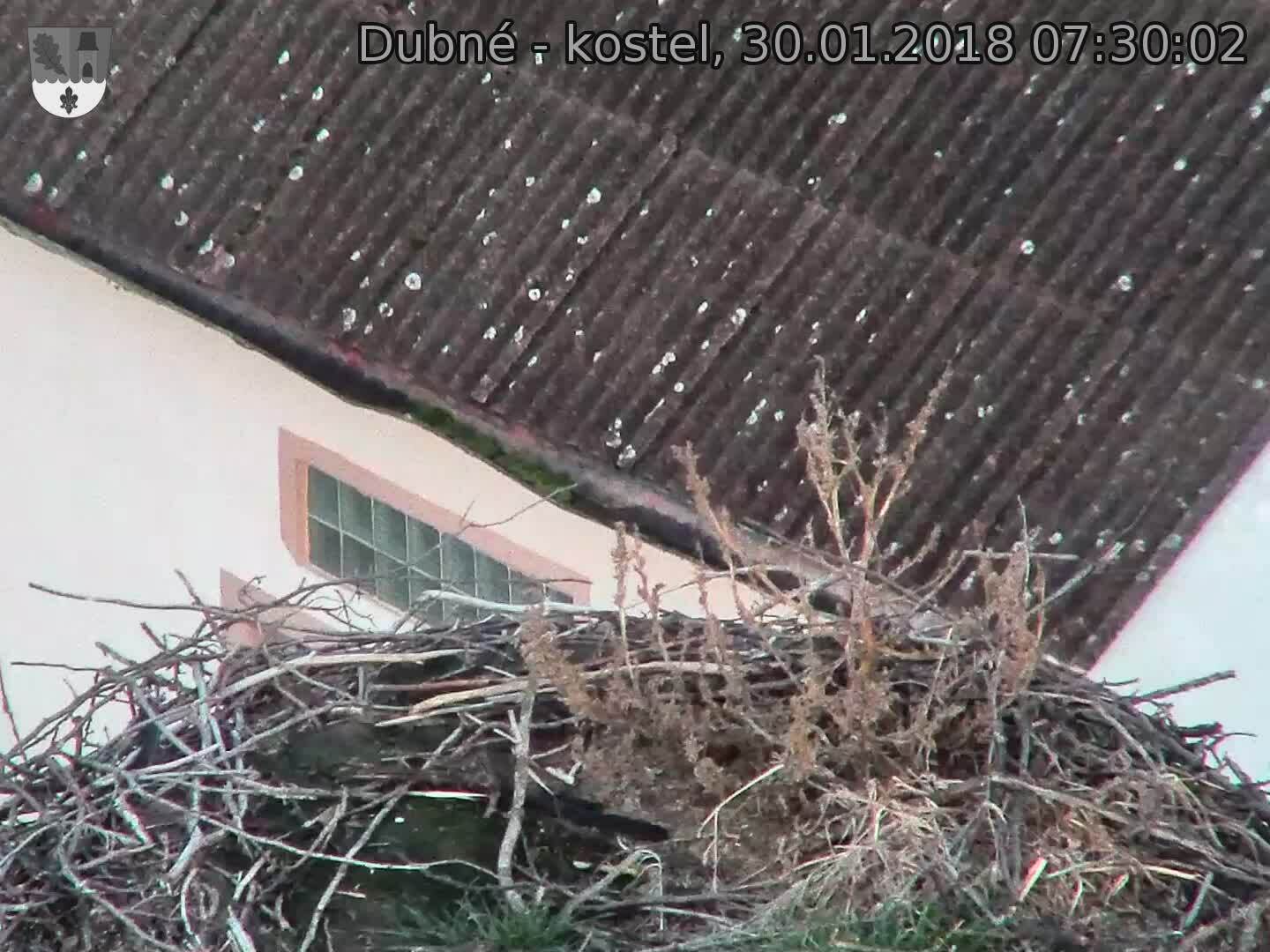 Capi_Dubne_20180130_073002.jpg (1440 x 1080)