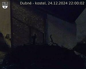 Capi_Dubne_20241224_220002.jpg (1350 x 1080)