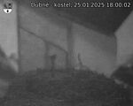 Capi_Dubne_20250125_180002.jpg