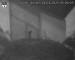 Capi_Dubne_20250126_050003.jpg