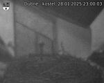 Capi_Dubne_20250128_230003.jpg