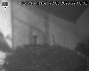 Capi_Dubne_20250322_220003.jpg (1350 x 1080)
