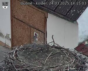 Capi_Dubne_20250324_141503.jpg (1350 x 1080)
