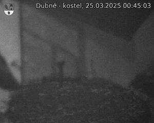 Capi_Dubne_20250325_004503.jpg (1350 x 1080)