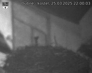 Capi_Dubne_20250325_220003.jpg (1350 x 1080)
