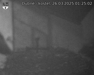 Capi_Dubne_20250326_012502.jpg (1350 x 1080)