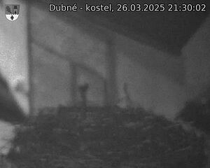 Capi_Dubne_20250326_213002.jpg (1350 x 1080)