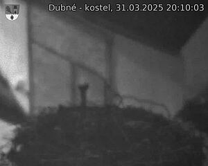 Capi_Dubne_20250331_201003.jpg (1350 x 1080)