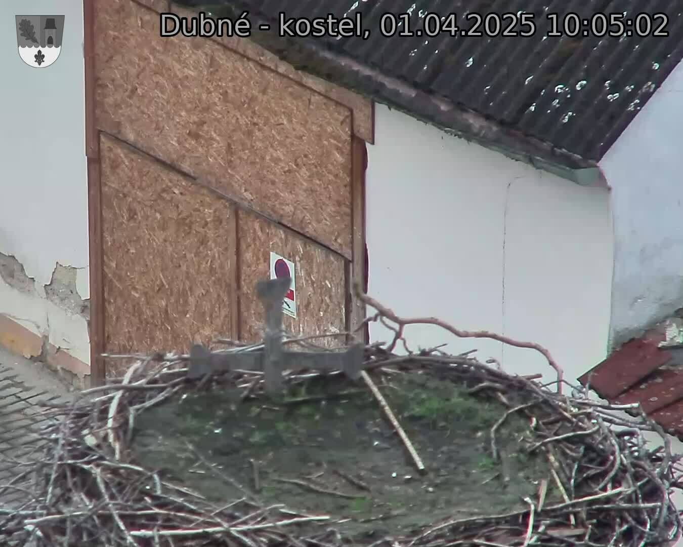 Capi_Dubne_20250401_100502.jpg (1350 x 1080)