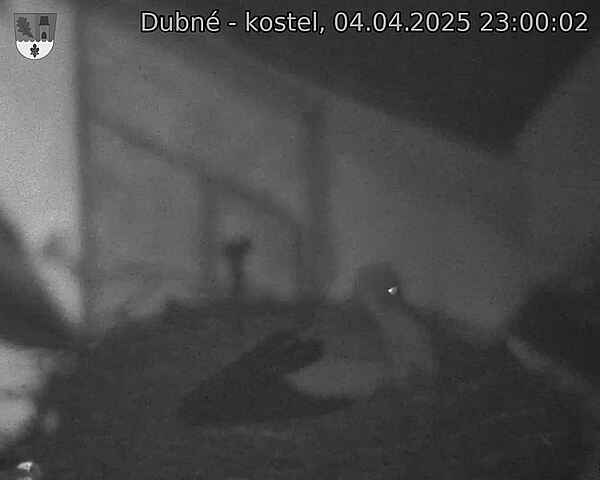 Capi_Dubne_20250404_230002.jpg (1350 x 1080)