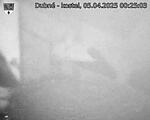 Capi_Dubne_20250405_002503.jpg