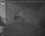 Capi_Dubne_20250405_031003.jpg