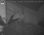 Capi_Dubne_20250405_033003.jpg