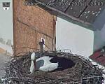 Capi_Dubne_20250405_112003.jpg