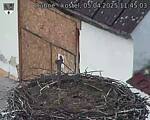 Capi_Dubne_20250405_114503.jpg