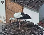Capi_Dubne_20250405_122003.jpg