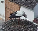 Capi_Dubne_20250405_123003.jpg