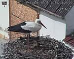 Capi_Dubne_20250405_132503.jpg