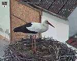 Capi_Dubne_20250405_133502.jpg