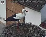 Capi_Dubne_20250405_141503.jpg