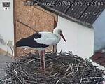 Capi_Dubne_20250405_142004.jpg