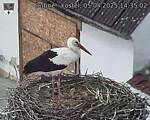 Capi_Dubne_20250405_143502.jpg