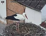 Capi_Dubne_20250405_144502.jpg