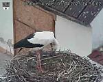 Capi_Dubne_20250405_145002.jpg