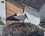 Capi_Dubne_20250405_152003.jpg