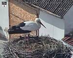 Capi_Dubne_20250405_152502.jpg