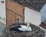 Capi_Dubne_20250405_154003.jpg