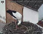 Capi_Dubne_20250405_161503.jpg