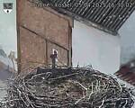 Capi_Dubne_20250405_163002.jpg