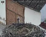 Capi_Dubne_20250405_165003.jpg