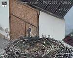Capi_Dubne_20250405_172502.jpg