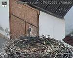Capi_Dubne_20250405_175003.jpg