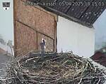 Capi_Dubne_20250405_181503.jpg