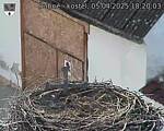 Capi_Dubne_20250405_182003.jpg