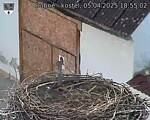 Capi_Dubne_20250405_185502.jpg