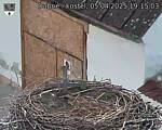 Capi_Dubne_20250405_191503.jpg