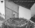 Capi_Dubne_20250405_200003.jpg