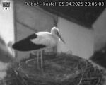 Capi_Dubne_20250405_200503.jpg