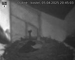 Capi_Dubne_20250405_204503.jpg