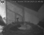 Capi_Dubne_20250405_214502.jpg