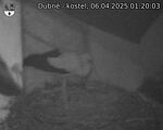 Capi_Dubne_20250406_012003.jpg