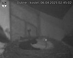 Capi_Dubne_20250406_024502.jpg